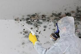 Best Mold Prevention Services  in Ashtabula, OH